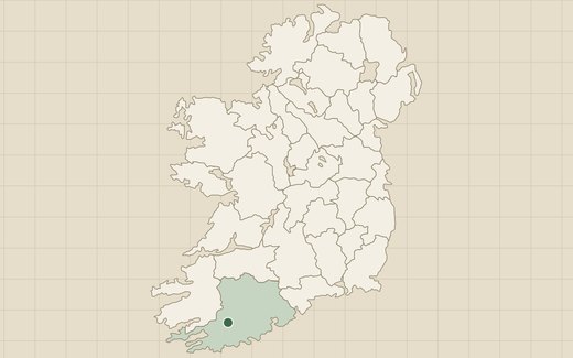 A map of the thirty-two counties of Ireland on a survey grid, with one marker in County Cork.